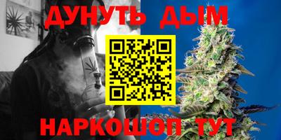 амф Камышлов