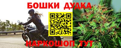 амф Камышлов
