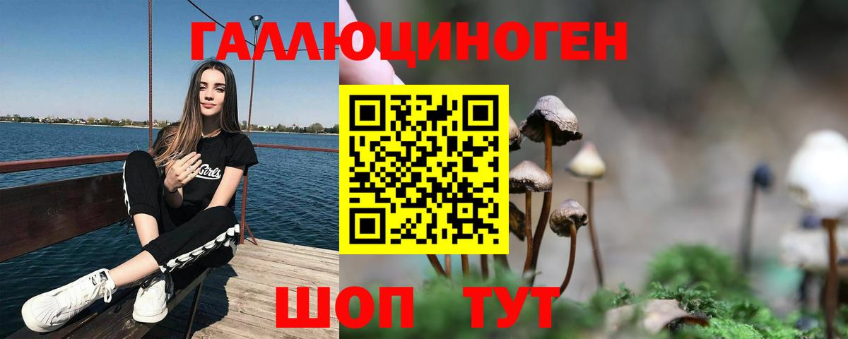 где можно купить   Псилоцибиновые грибы мухоморы  Лесосибирск  Вход с VPN  Псилоцибиновые грибы мухоморы 